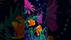 Video post by @meowwolf on YouTube