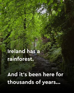 Image post by @discoverireland.ie on Instagram