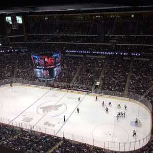 Image post by @arizonacoyotes on Instagram