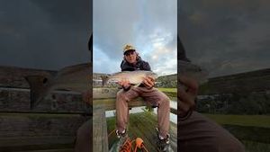 Video post by @daltonmauldin5 on YouTube