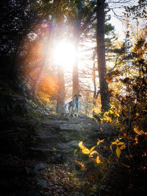 Image post by @jpotterphoto on Instagram