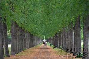 Image post by @zumapress on Instagram