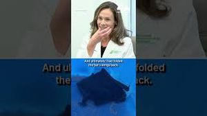 Video post by @nbcnewyork on YouTube