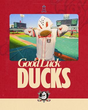 Image post by @angels on Facebook