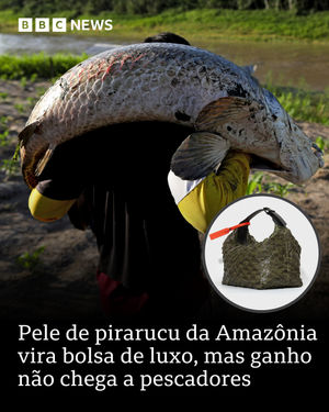 Image post by @bbcbrasil on Instagram