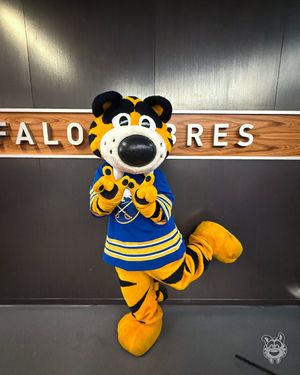 Image post by @sabretooth_nhl on Instagram