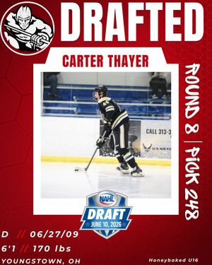Image post by @nahltitans on Instagram
