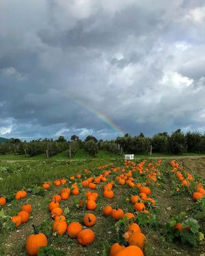 Image post by @fishkillfarms on Facebook