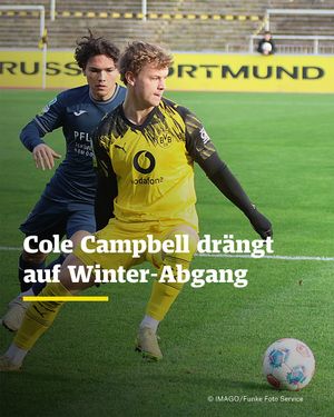 Image post by @rnbvb on Instagram