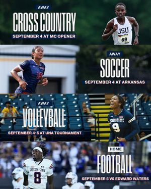 Image post by @gojsutigers on Instagram