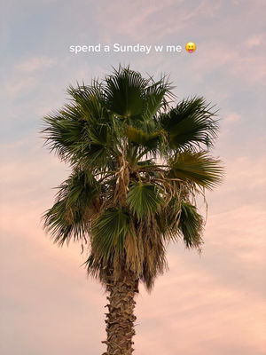 Video post by @catchingupwithcaitlin on TikTok