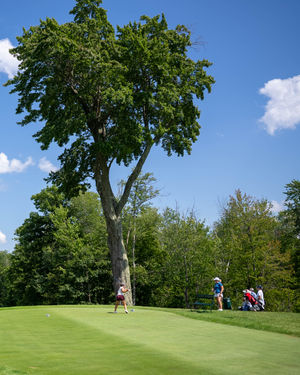 Image post by @playmassgolf on Instagram