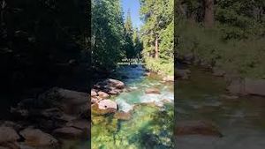 Video post by @allisonhollandmedia on YouTube