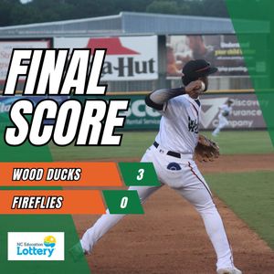 Image post by @GoWoodDucks on Twitter