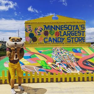Image post by @goldythegopher on Instagram
