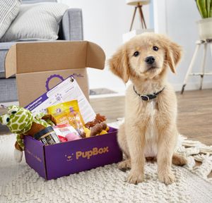 Image post by @petco on Instagram