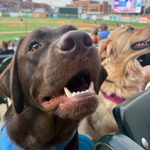 Image post by @sbcubs on Instagram