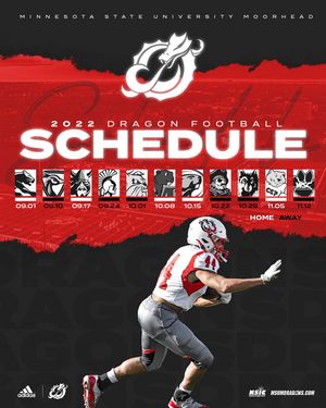 Image post by @msum_football on Instagram
