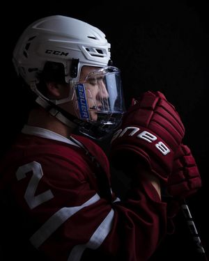 Image post by @hockeyhousepod on Instagram