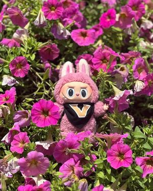 Image post by @vanderbiltu on Instagram