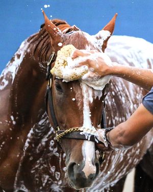 Image post by @kentuckyderby on Instagram