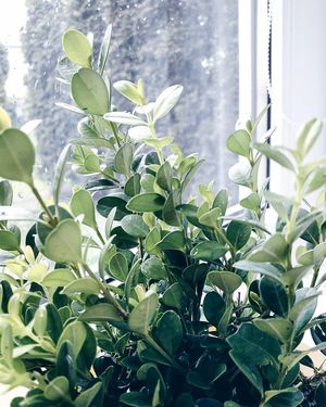 Image post by @kate.simple.life on Instagram