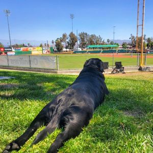 Image post by @66ersbaseball on Instagram