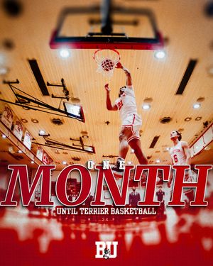 Image post by @terriermbball on Instagram