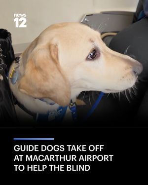 Image post by @news12li on Instagram