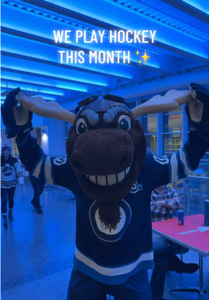 Video post by @nhljets on TikTok