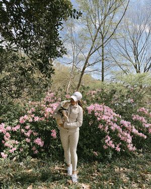 Image post by @catcatoura on Instagram