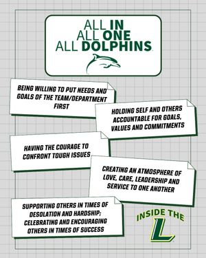 Image post by @lemoynedolphins on Instagram