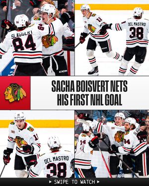 Image post by @nhl on Instagram