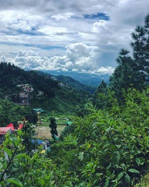 Image post by @bakedbaba93 on Instagram