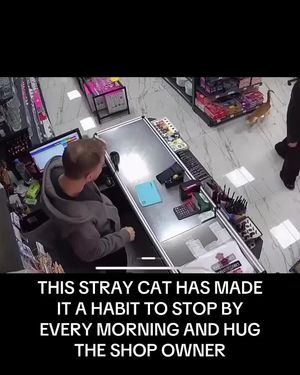 Video post by @complex on TikTok