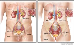 Image post by @theNCI on Twitter