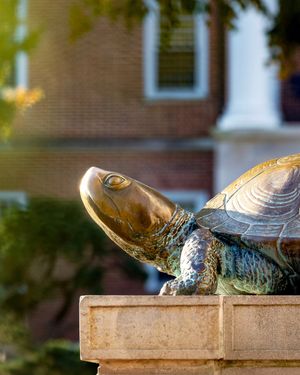 Image post by @univofmaryland on Instagram