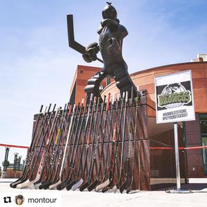 Image post by @anaheimducks on Instagram