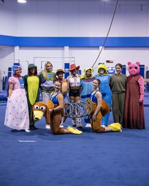 Image post by @uclagymnastics on Instagram