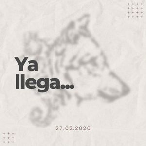 Image post by @estebanchincoyaoficial on Instagram