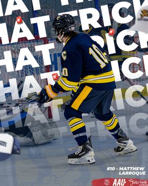 Image post by @aau_collegehockey on Instagram