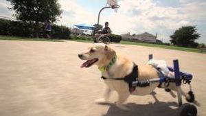 Video post by @kleenex5546 on YouTube