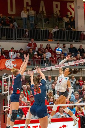 Image post by @DaytonVB on Twitter