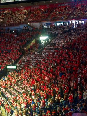Image post by @zonazooofficial on Instagram
