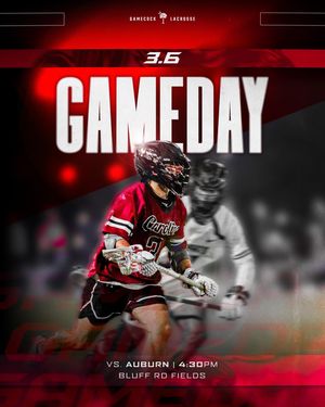 Image post by @gamecocklax on Instagram