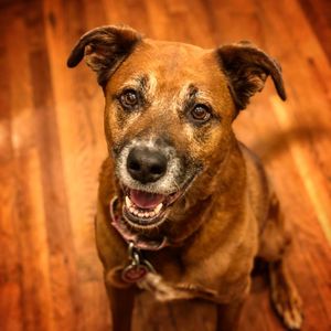 Image post by @nickcicero on Instagram