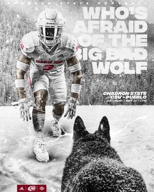 Image post by @Josh_Mindemann on Twitter