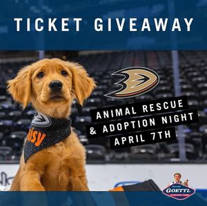 Image post by @goettlacplumbing on Instagram