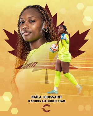 Image post by @the_stingers on Instagram