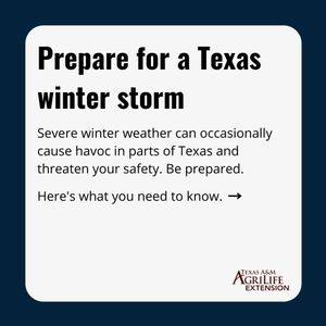 Image post by @txextension on Instagram